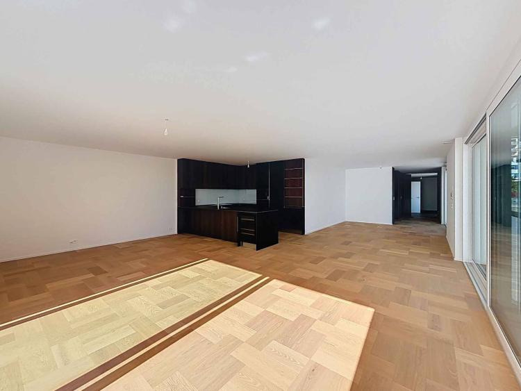 Attique d'exception de 3.5 pièces