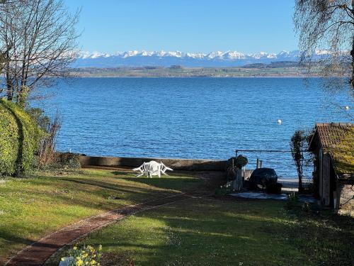 Maison de 7 pièces au bord du lac avec plage et port privés