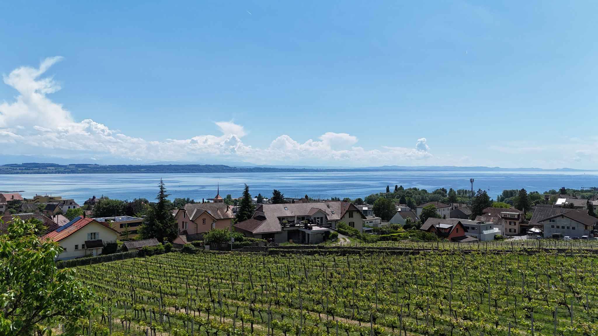 Villa de standing au cœur des vignes avec vue lac imprenable